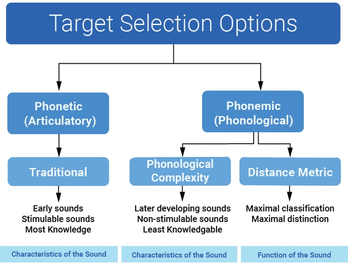 Flowchart titled "Target Selection Options" showing paths from Phonetic to Traditional and Phonemic to Phonological Complexity, integrated with medbridge software.