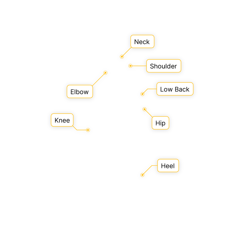 Diagram with labeled body parts connected by lines: neck, shoulder, elbow, low back, hip, knee, heel.