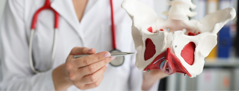 A person in a white coat points at pelvic model muscles with a pen, wearing a stethoscope, for medbridge healthcare education.